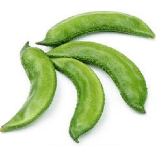 Dolichos Beans Vegetable Seeds (B07MQW3CT3) Amazon Price History, Amazon Price Tracker