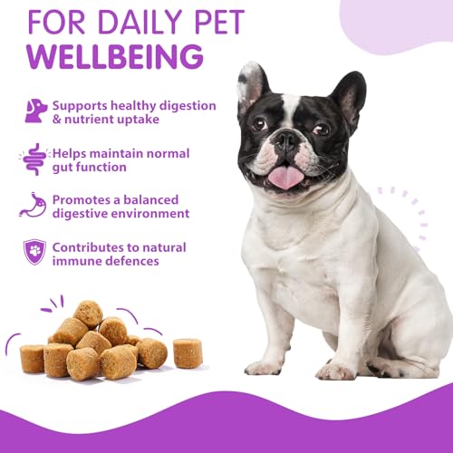 Probiotika für Hunde, 120 Stück, Pekingente-Geschmack, Probiotika Hund Darmgesundheit, Verdauungssnack für Hunde – Stärken das Immunsystem