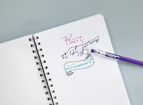 PILOT - 8er-Set FriXion Ball Stick - Gel-Tinte radierbar - 2 Blau, 2 Schwarz, 2 Rot, 2 Grün - Der FriXion Kugelschreiber - Für Federmäppchen - Schulartikel - Mittlere Spitze