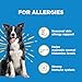 Wildpaw WonderBites for Fast Allergy Relief - Pet Supplement to Support Itchy Skin & Allergy Relief - Dog Skin & Coat Health Supplement - 90 Soft Chews