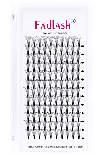 Lash Extension 10D 0.07 Premade Fans Eyelash Extensions D Curl Mix Tray Volume Lash Extensions Short Stem Volume Premade Fans (10D-0.07-D, 8-14mm Mix)