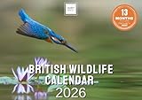 2026 British Wildlife Calendar – Nature & Animal Wall Calendar UK – Printed in the UK