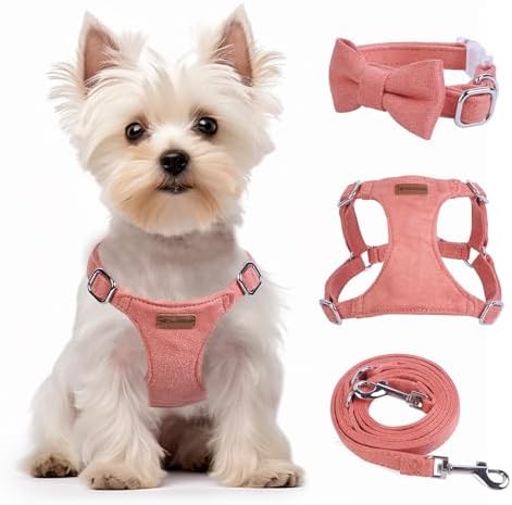 Dog Harness and Leash Set, XXS No Pull Adjustable Puppy Harness with Multifunction Pink Dog Leash and Collar, Soft No Choke Escape Proof Pet Harness Vest for Small Dogs and Cats (Deep Pink, XXS)