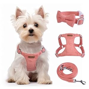 Dog Harness and Leash Set, XXS No Pull Adjustable Puppy Harness with Multifunction Pink Dog Leash and Collar, Soft No Choke Escape Proof Pet Harness Vest for Small Dogs and Cats (Deep Pink, S)