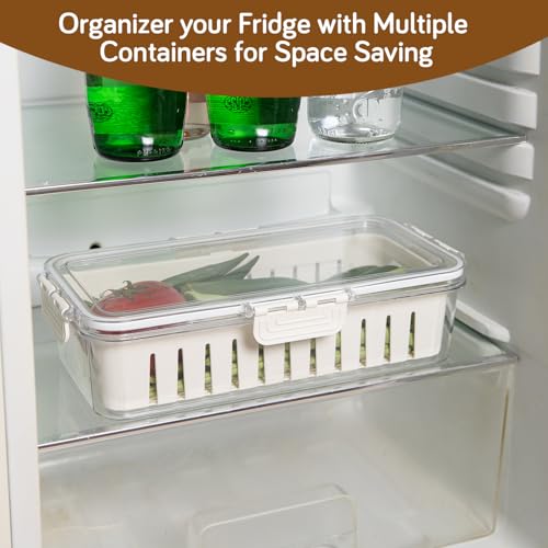 Image of HOKIPO BPA Free Food Grade Plastic Fridge Storage Containers with Lid - Crisper Containers for Fresh Vegetables, Fruits & Food | Freezer & Kitchen Organizer Set for Home Use (AR-6100)