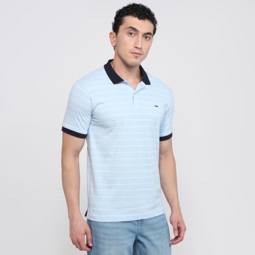 Image of Park Avenue Men Slim Fit Stripe Pattern Pure Cotton Polo Neck Half Sleeve Casual T-Shirt