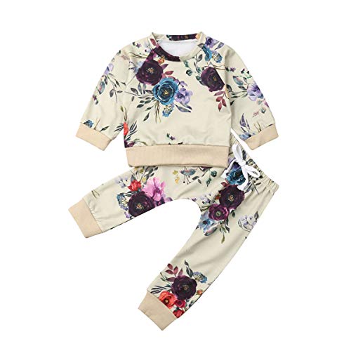 Toddler Baby Girls Winter Outfit Floral top t Shirt Sweatshirt Pants Sweatsuit 2Pcs Clothes Set (6M-3Y)