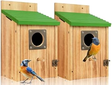 best birdhouses for bluebirds