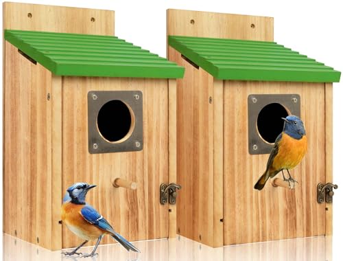 2 Pack Bird Houses for Outside - Cedar Bluebird Houses with Metal Predator Guard, Birdhouse for Wren Bluebirds Finches Swallows, Carbonized Wooden