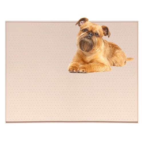 Lifetips xWAOtH gC}`FX^[eA ybggC}bg VR h ~ 􂦂  L V[gh~ g[p t[Oی ybggC}bg VR}bg ΍ gCV[gŒ h 