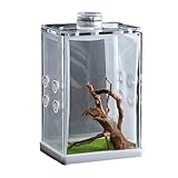 Enclos d'araignées sauteuses - Boîte d'alimentation transparente en acrylique - Cage d'araignée à poule | Boîte de terrarium de reptiles, enclos de cage pour escargot, terrarium à insectes, habitat de