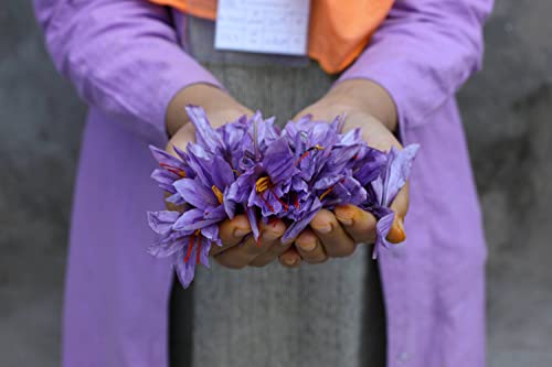 Saffron Threads - Premium, Whole (2.0 Gram) #TOP3