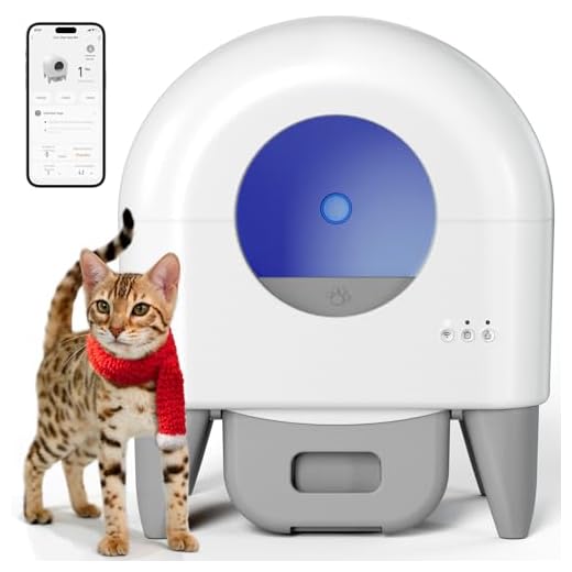 Fumoi High-Capacity Self Cleaning Box