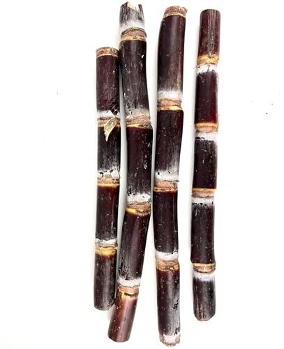 Fresh Purple Red Organic Sugarcane Cuttings 9-10' Saccharum Officinarum Non GMO for Planting or Juicing New Crop 2025 (2)