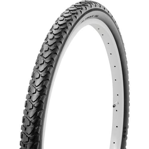 SHINKO(VR[) ] ^C SR046 22×1.75 H/E ubN ^Ĉ CTBAMTB