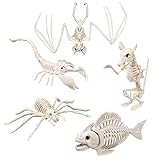 Boland Halloweendekoration 5 Tierskelette Skelett Ratte Fledermaus Spinne