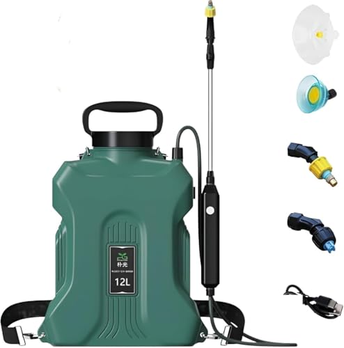 Citybabyd[dw~(2025vV&12 Le)Lko[t/mYΉŒ8ԘAgp\Œ82.5 cm܂ŐLk\yʌ|݌v`ECIdrpe (A) [sAi]