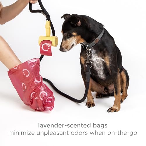 Image of Ubbi Retractable Dog Poop Bag Holder and Dispenser with Silicone Strap Leash Attachment, Includes 2 Rolls of Lavender Scented Leakproof Waste Bags, Yellow