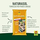 Zoom IMG-1 compo naturasol cactacee terriccio per Zoom IMG-1 compo naturasol cactacee terriccio per