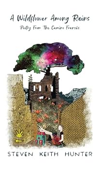 Paperback A Wildflower Among Ruins: Poetry From the Camino Frances Book