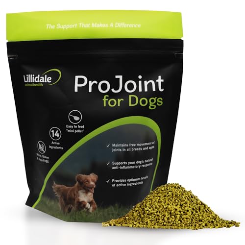 Lillidale ProJoint 500g - Joint Supplement for Dogs with Glucosamine and Chondroitin - Premium Anti-Inflammatory Support - Mobility - Hip & Joints - Soothes Stiffness - Dog Joint Supplement