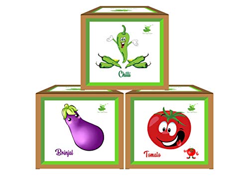 Sow and Grow Seed Starter Vegetable Grow Kits Pack of 3 : Brinjal...