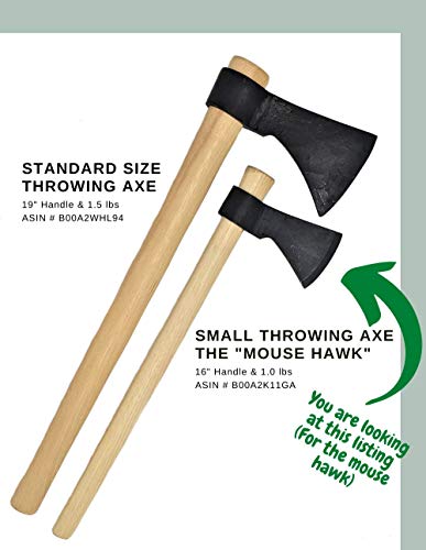 https://m.media-amazon.com/images/I/41AapXhtTiL._SL500_.jpg