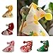 Ldabrye Beautiful Bird Wrap Dress Your Pet Cloth with This Cloak Outdoor Use Bird Cloak Winter Flight Suit