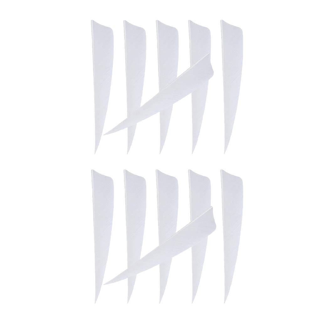 Enakshi 12 Pieces 4 Inch Archery Arrow Feathers Fletchings Vanes White | Sporting Goods | Outdoor Sports | Archery | Arrows & Parts | Fletches 4