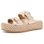 Ivory Multi