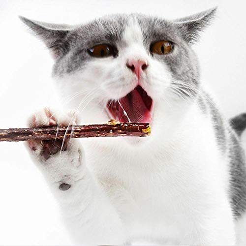 LINKLANK - Bastoncini di Erba gatta per Snack, 10