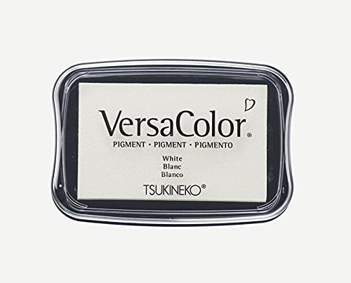 Rayher 29017102 Versa Color Pigment-Stempelkissen, 9,6x6,3x1,8cm,...