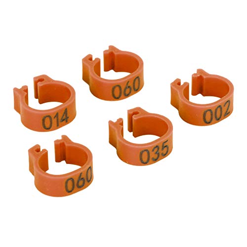 Grampo de pé de pássaro 001-100 faixas de perna de pássaro numeradas 8 mm anéis de identificação de