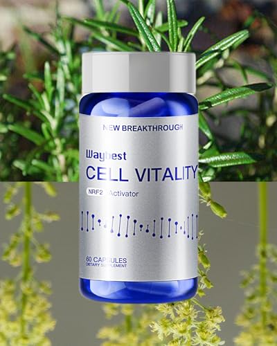Ebat Oxidative Stress Relief Formula By Waybest Cell Vitality Nrf2 Activator (180 Vegan Capsules),Nutritional Antioxidant Anti-Aging Health Supplements,Blend Of 5 Natural Herbal Phytonutrients Ingredients thumb #1