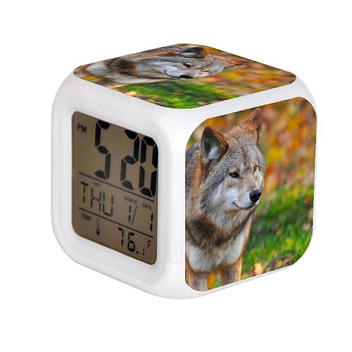 Réveil numérique LED à 7 couleurs changeantes avec date, alarme, thermomètre, réveil, bureau, enfant rouge et gris loup