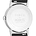 Timex Men's Peanuts Marlin 34mm Watch - Black Two- Piece Quick Release Black Dial Stainless Steel Case
