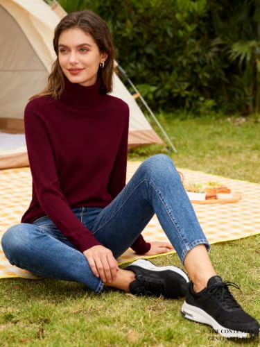 Image of DAIMIDY Turtleneck Sweaters for Women Long Sleeve Pullover Tops | Knitted Material| Soft, Warm and Breathable| High Resilience and Tensile Strength Design| Business Casual Tops| Dailywear