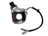 Zsoog 2 Coil Stator Ignition Magneto Plate for Chinese ATV 50cc 70cc 90cc 110cc 125cc Quad Dirt Bike for Taotao Sunl