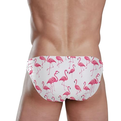Pink Flamingo Swim Briefs for Men Swimsuit Bikini Swimwear S B04043233