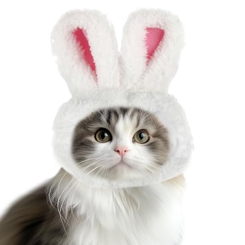 Disfraz orejas de conejo para gato y perro pequeño miniatura 2