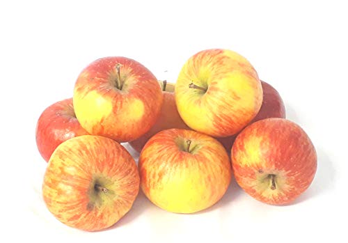Äpfel Topaz vom Bodensee süß-säuerlicher Apfel 8 KG Cover
