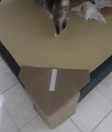 2 Arranhador para gato de canto de Cama Box em carpete resinado (Marrom)