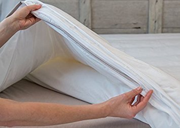 Double Anti Allergy Anti Bacterial Anti Dust mite Duvet Quilt Protector Non Noisy Non Crin...