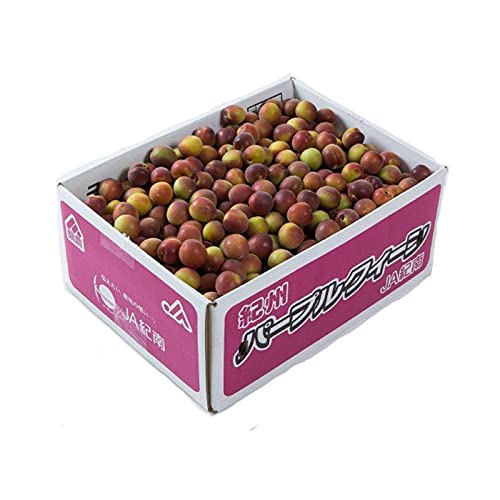 Amazon.co.jp: 梅 パープルクイーン 秀品 2L～Lサイズ 約2kg 和歌山県