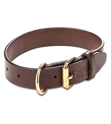 Jack & Russell Collare per Cani in Pelle Premium