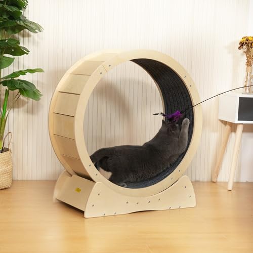 COZIVVOVV 31.5\" Large Cat Treadmill, Exercise Wheel with Locking Mechanism, Nonslip Carpet, Cat Teaser, Running Wheel for Indoor Cats Small Animals, Gray (Wood)