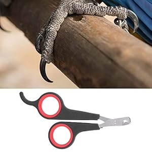   Animal-Nail-ScissorsBird-Nail-ScissorsBeak-Trimmer-for-Birds-Pet-Bird-Small-Animals-Accessory-Grooming-ToolNail-Scissors-Clipper-Black-and-Red