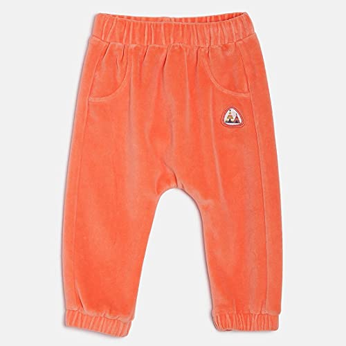 Image of miniklub Boys Off-White & Orange Printed T-Shirt With Trousers