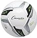 Champion Sports Futsal Ball (colors may vary)