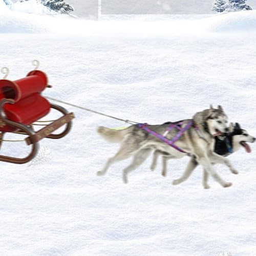 Colcolo Hunde-Laufgeschirr, Zuggeschirr, Geschwindigkeitstraining, Sport, Profi, Schlittengeschirr, Blau M
